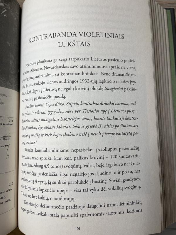 Elektros boikotas - Gediminas Kulikauskas, knyga 4