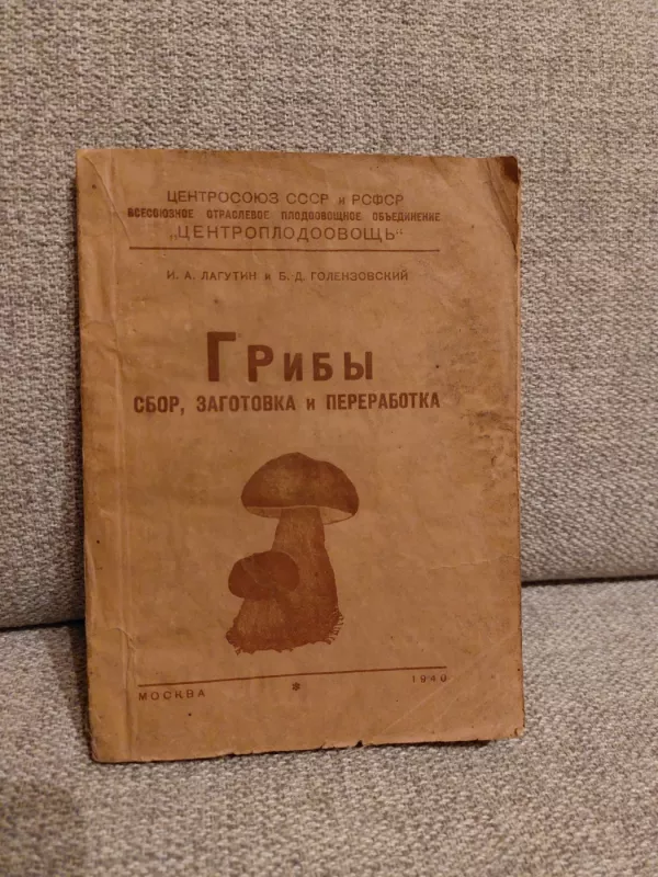 Grybai: Grybų rinkimo, derliaus nuėmimo ir perdirbimo knyga - I. Lagutinas, B. Golenzovskis, knyga