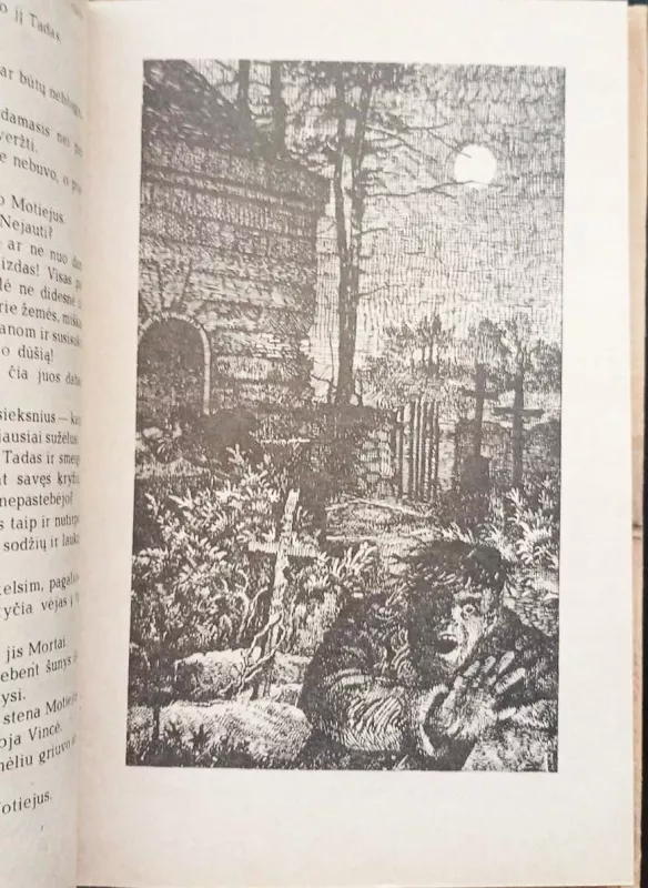 Tadas Blinda - Rimantas Šavelis, knyga 3