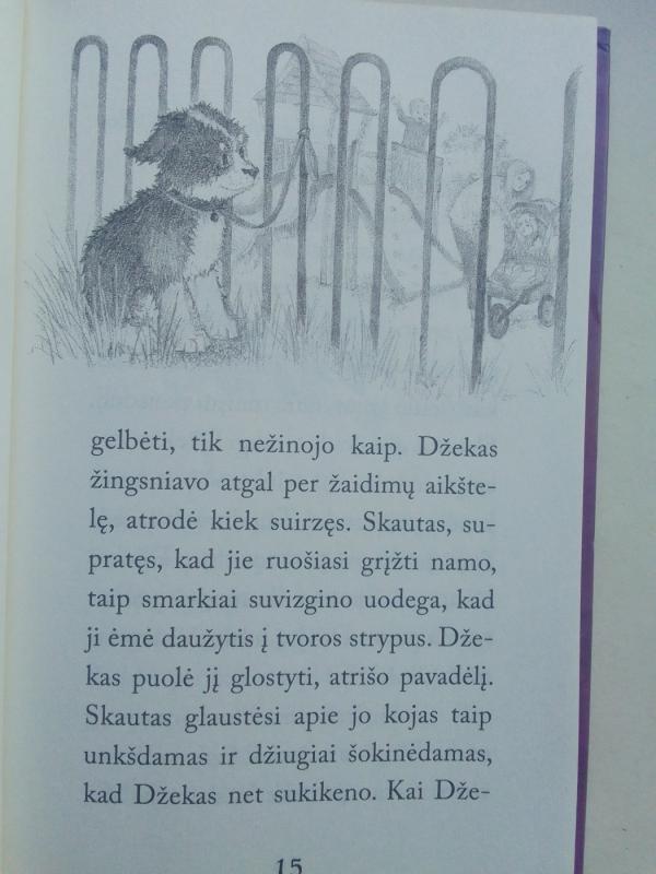 Nereikalingas šuniukas - Holly Webb, knyga 6