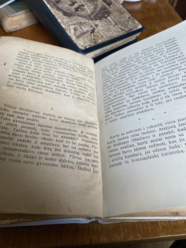 Janina arba Naujoji moteris - V. Dovsinaitė, knyga 4