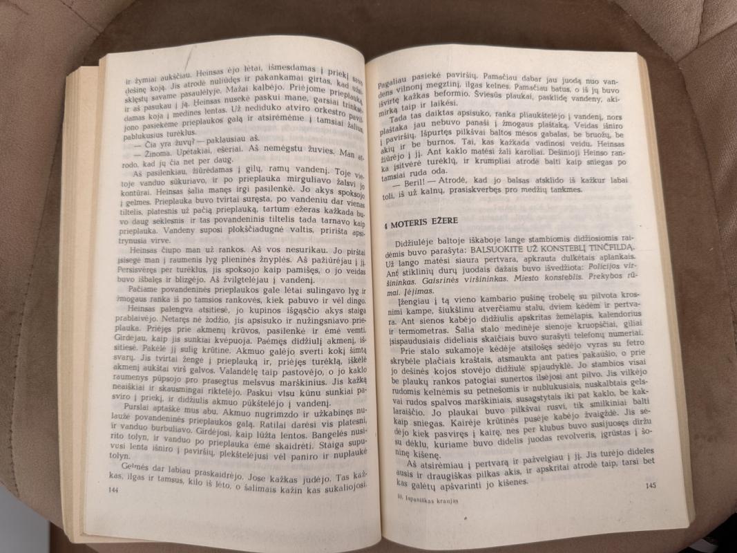 Ispaniškas kraujas - Raymond Chandler, knyga 4