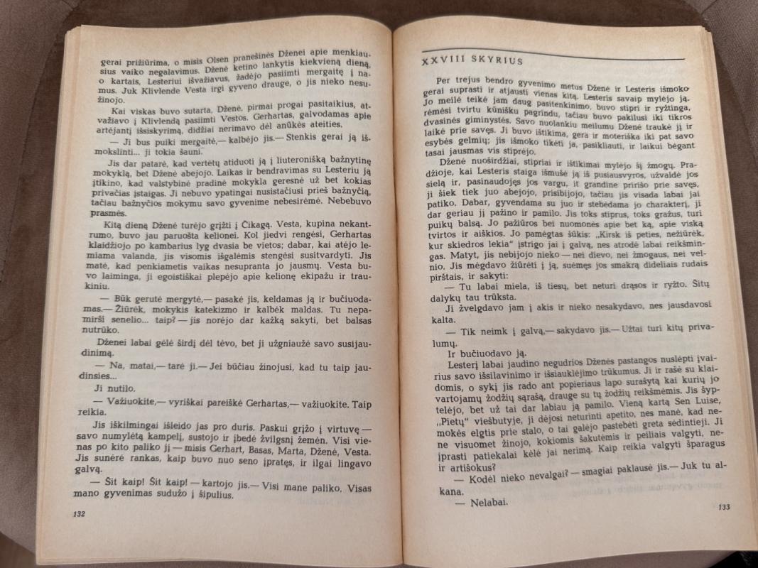 Dženė Gerhart - T. Dreizeris, knyga 4