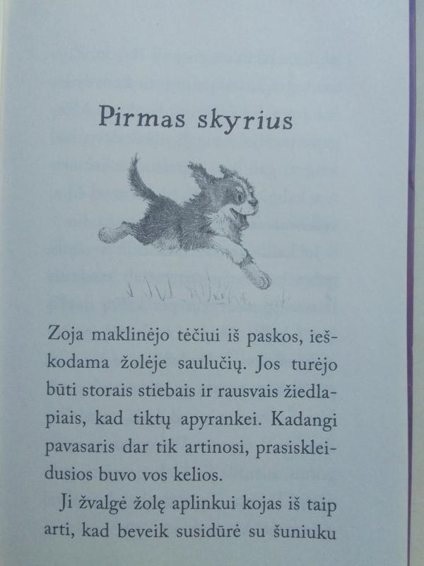 Nereikalingas šuniukas - Holly Webb, knyga 5