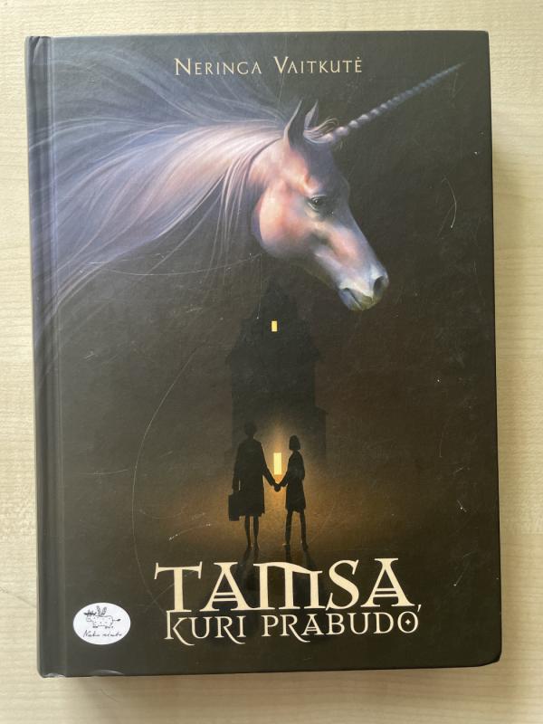 Tamsa kuri prabudo - Neringa Vaitkutė, knyga 2