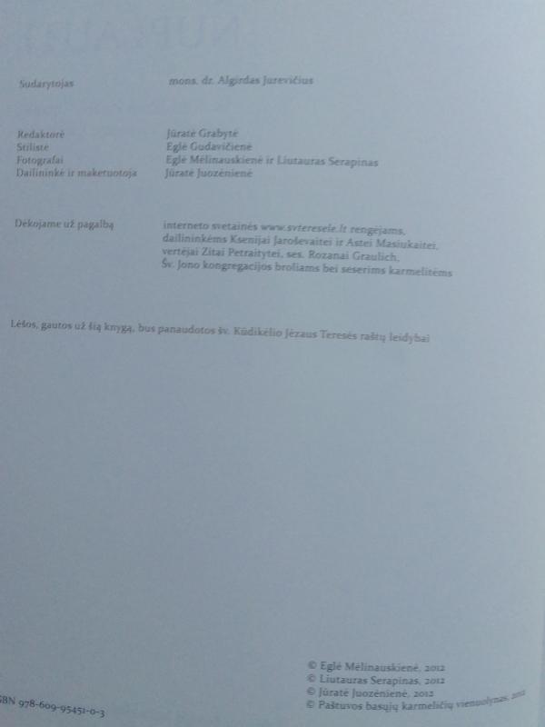 Malonių lietaus nuplauti. Šv. Kūdikėlio Jėzaus Teresės relikvijų viešnagė Lietuvoje - Autorių Kolektyvas, knyga 4