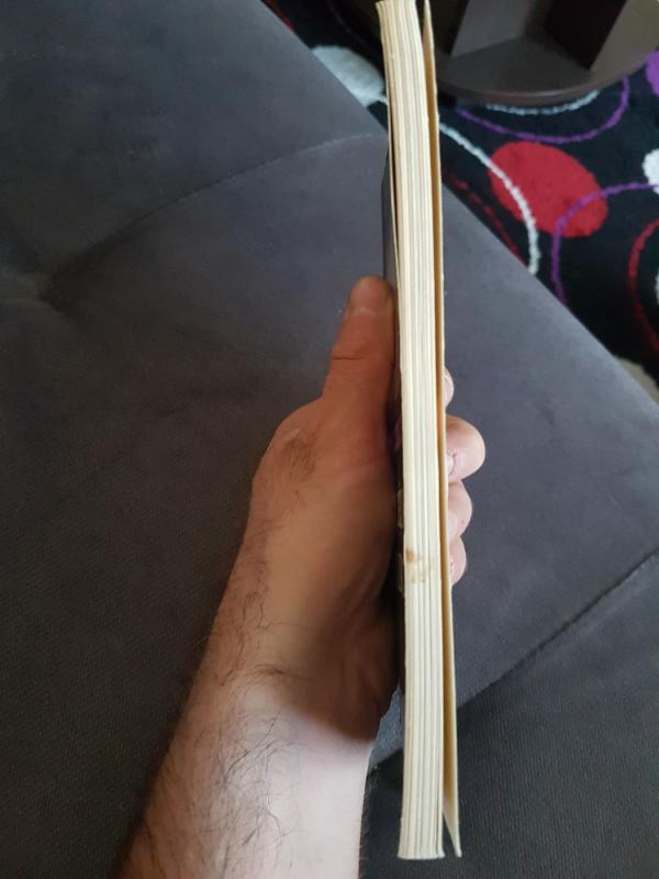 Dilgėlių vainikas - Vytautas Kusas, knyga 5