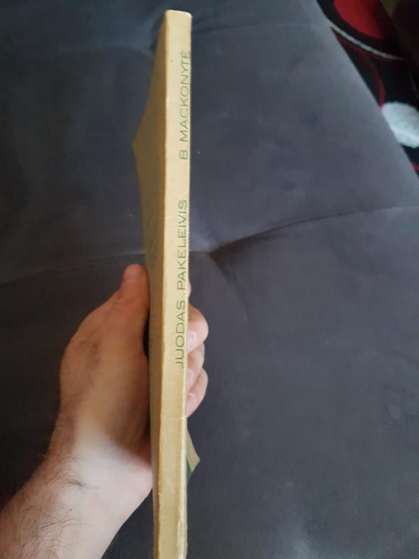 Juodas Pakeleivis - B. Mackonytė, knyga 4