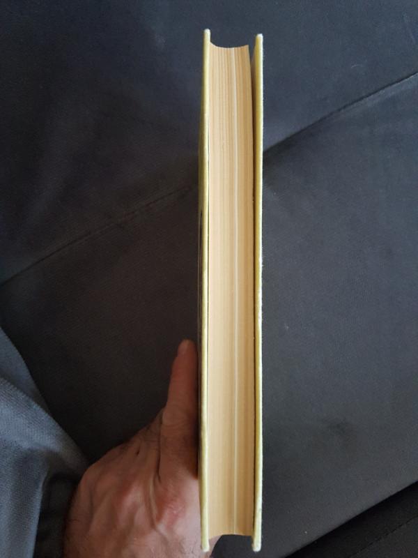 Vrubelis - Dora Kogan, knyga 4