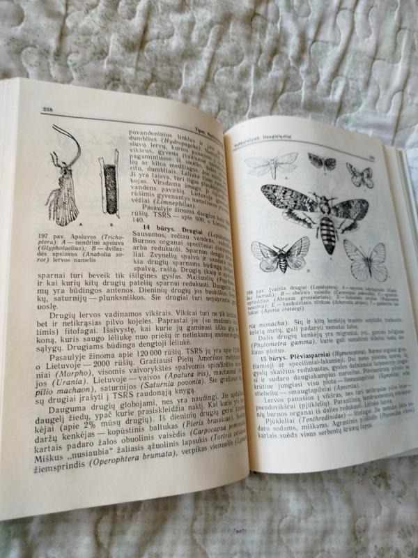 Bestuburių zoologija - Ričardas Kazlauskas, knyga 5