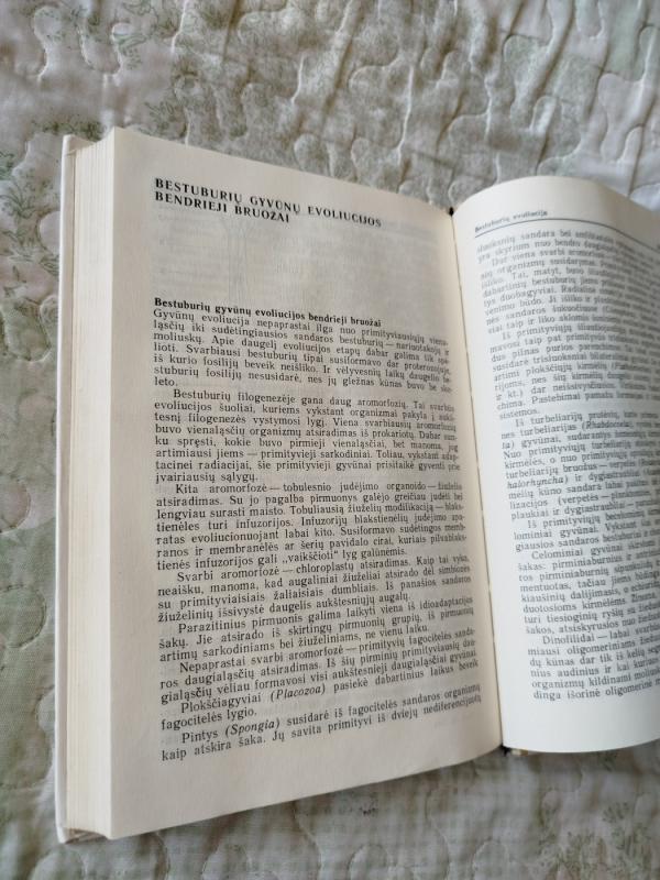 Bestuburių zoologija - Ričardas Kazlauskas, knyga 6