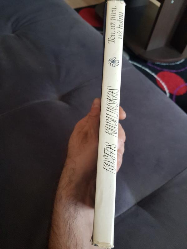 Ten, už jūrų, už kalnų - Kostas Kubilinskas, knyga 3