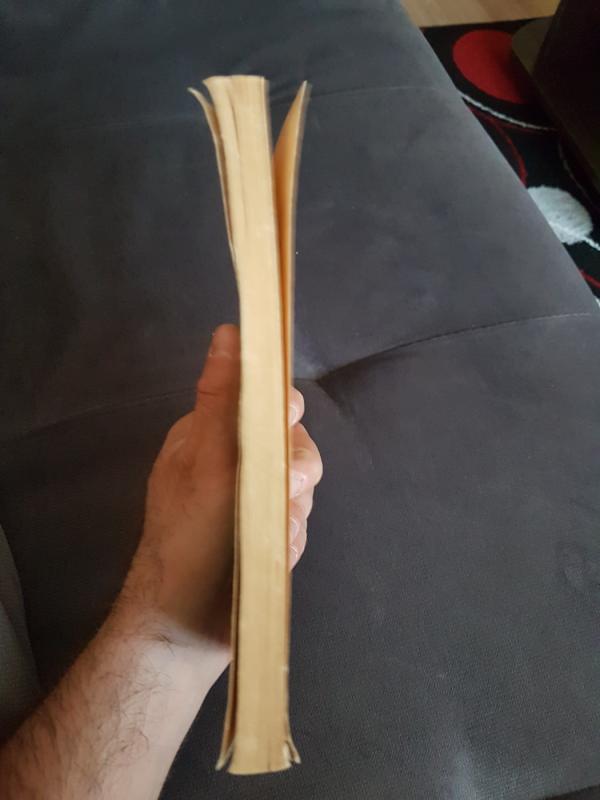 Juodas Pakeleivis - B. Mackonytė, knyga 5