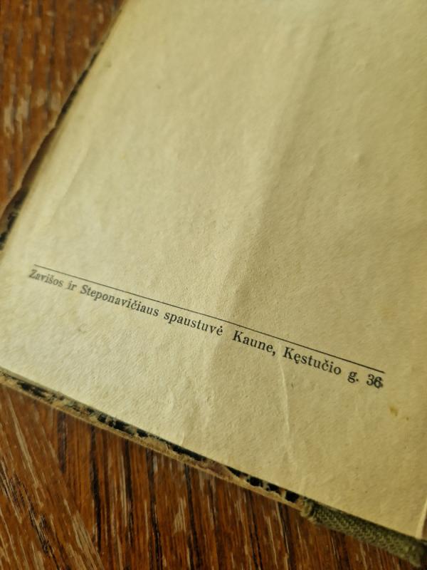 Plėšikai - F. Šilleris, knyga 4