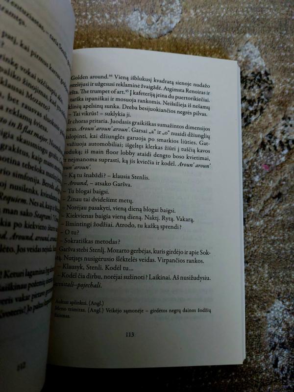 Balta drobulė - Antanas Škėma, knyga 6