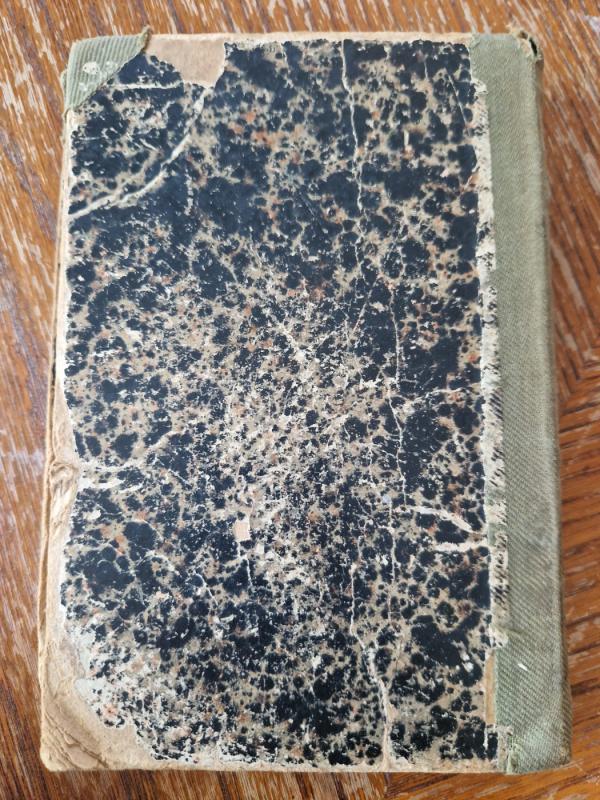 Plėšikai - F. Šilleris, knyga 6