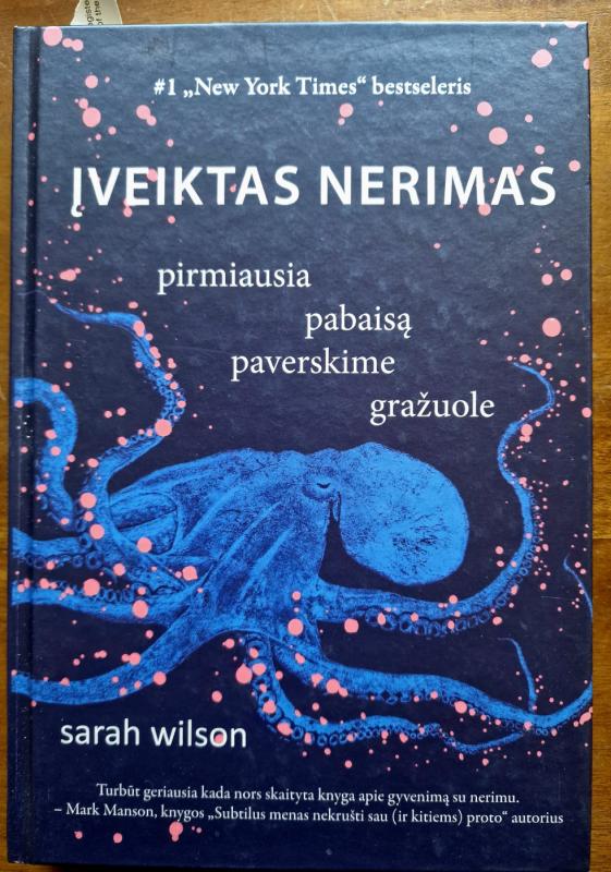 Įveiktas nerimas: pirmiausia pabaisą paverskime gražuole - Sarah Wilson, knyga 2