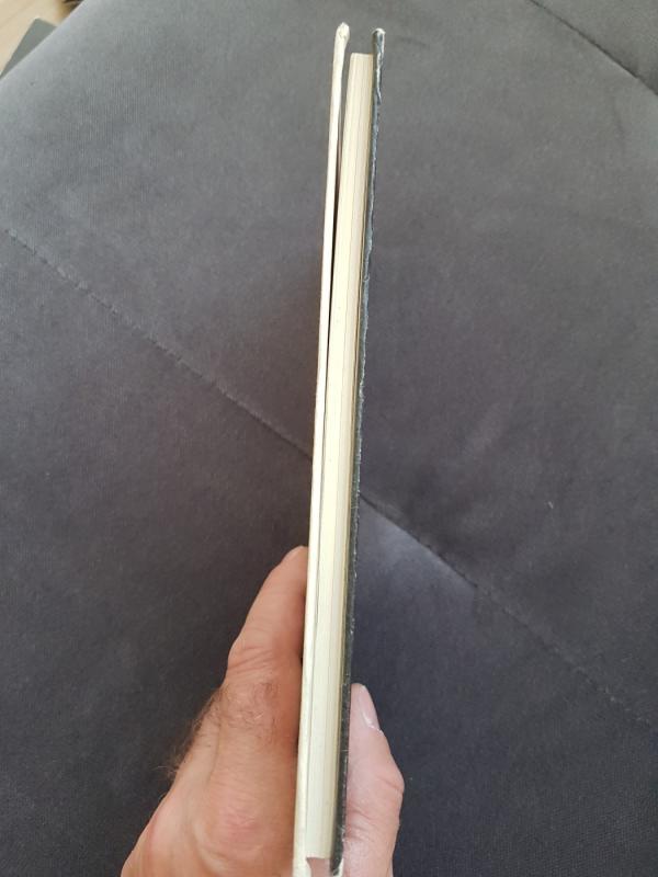 Nė vienas nebuvo pagailėtas - Romualdas Lankauskas, knyga 4