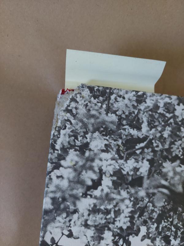 Romualdas Rakauskas. Fotografijų albumas "RR" - Autorių Kolektyvas, knyga 5