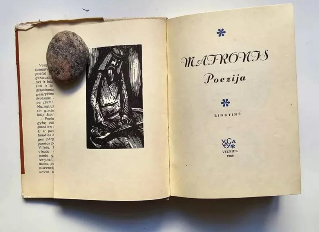 Maironis poezija rinktinė - Autorių Kolektyvas, knyga 4