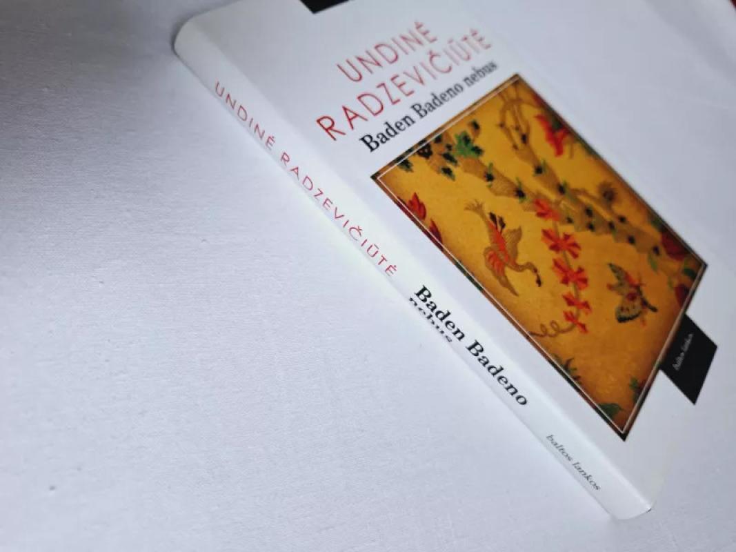 Baden Badeno nebus - Undinė Radzevičiūtė, knyga 4