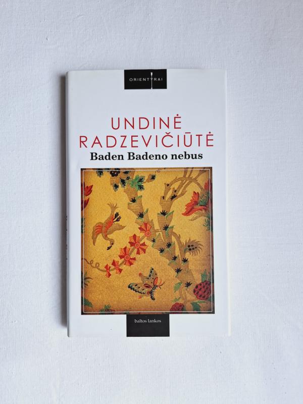 Baden Badeno nebus - Undinė Radzevičiūtė, knyga 2