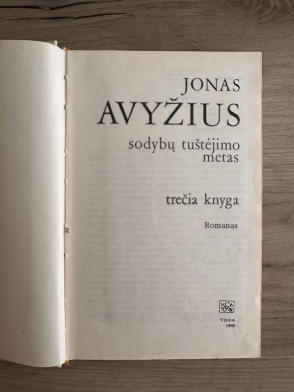 Sodybų tuštėjimo metas (3 knyga) - Jonas Avyžius, knyga 4