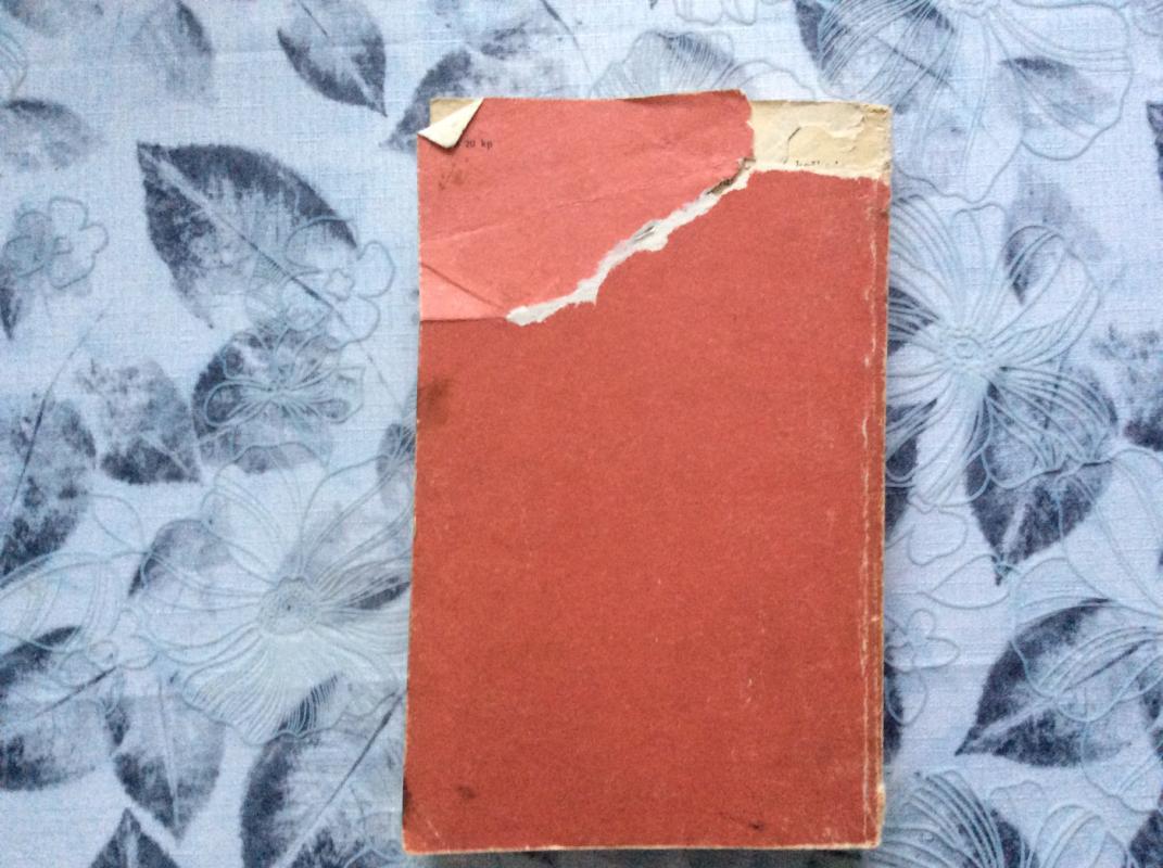 Ilga kaip šimtmečiai diena - Čingizas Aitmatovas, knyga 5