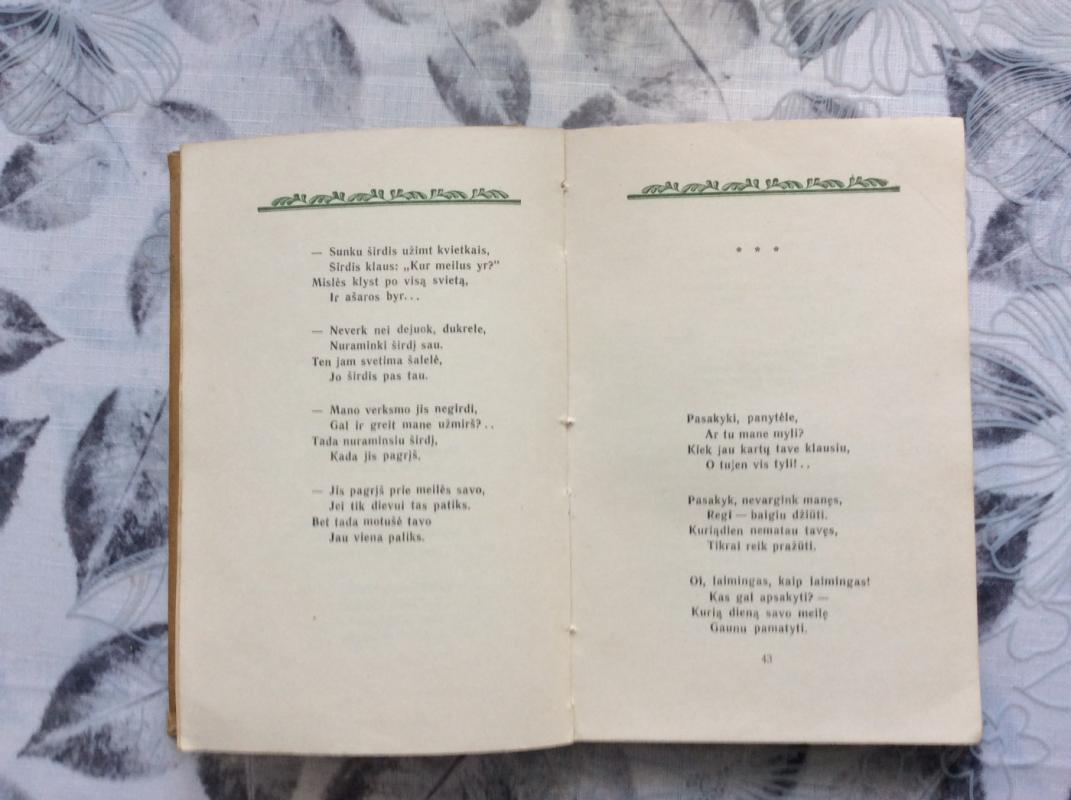 Ilgu ilgu man ant svieto - Antanas Vienažindys, knyga 4