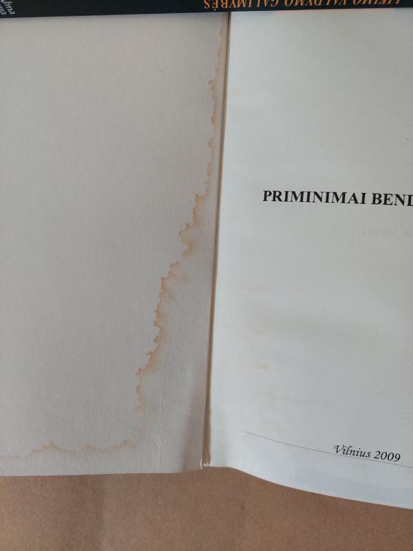 Priminimai bendražygiams - Vilius Bražėnas, knyga 3