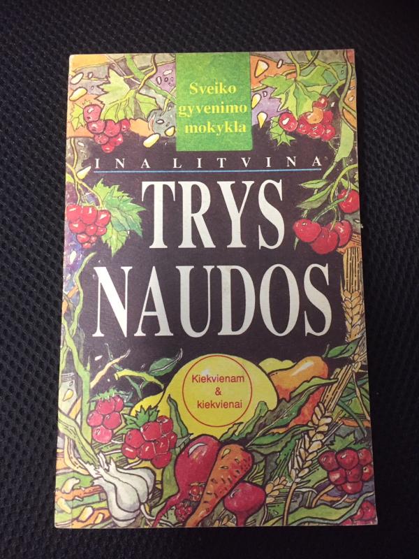 Trys naudos - Ina Litvina, knyga 2