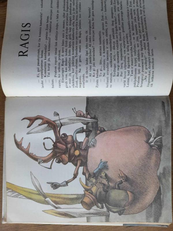 Tik niekam nesakyk - Vytautė Žilinskaitė, knyga 4