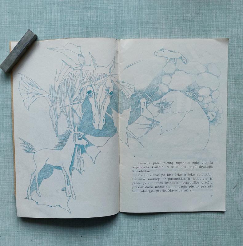 Kumeliuko kerštas - Vytautė Kaluževičienė, knyga 5