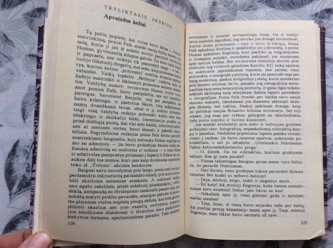 Raudonasis kambarys. Hemsio salos žmonės - Augustas Strindbergas, knyga 4