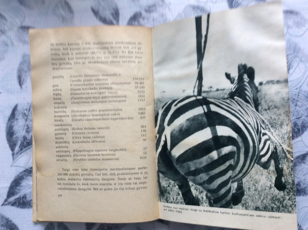 Serengetis neturi mirti - Bernhardas Gžimekas, knyga 4