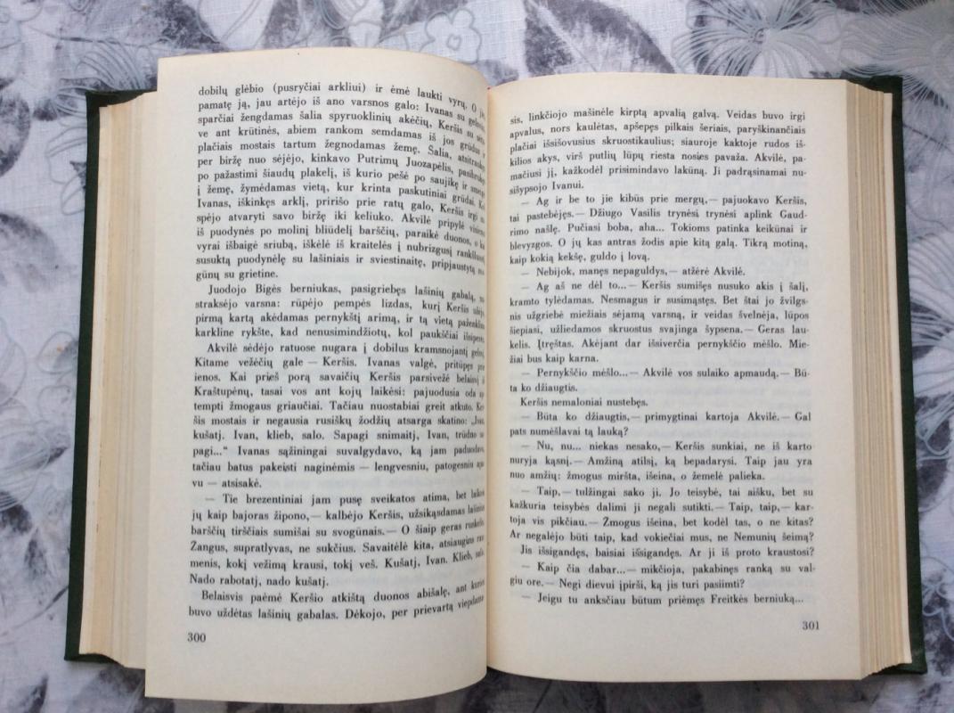 Sodybų tuštėjimo metas - Jonas Avyžius, knyga 4