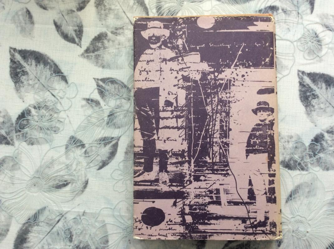 Raudonasis kambarys. Hemsio salos žmonės - Augustas Strindbergas, knyga 5