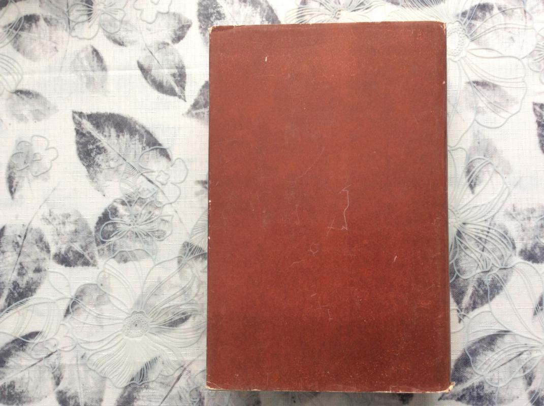 Kur lygūs laukai - Jonas Mikelinskas, knyga 5