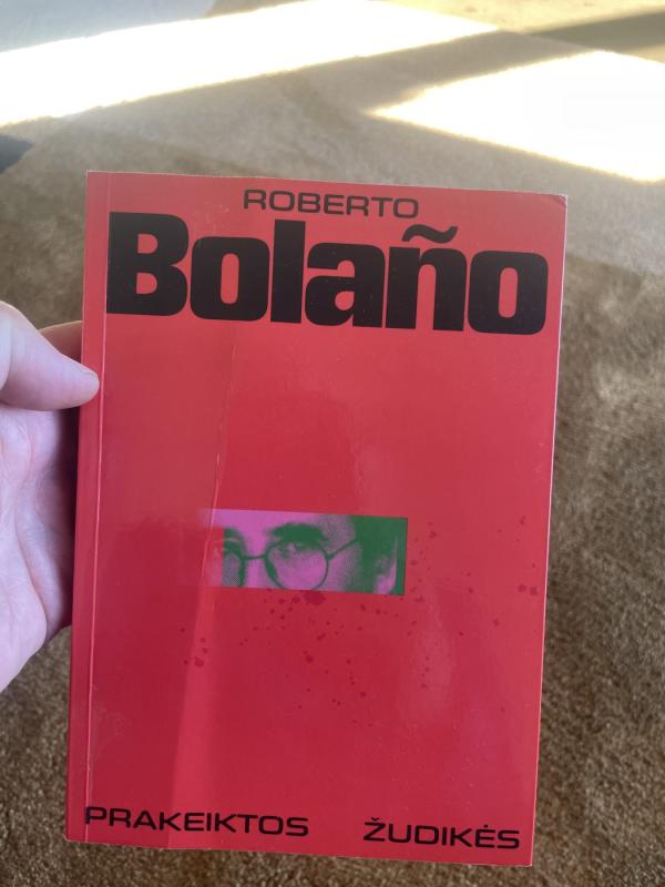 Prakeiktos žudikės - Roberto Bolano, knyga 2
