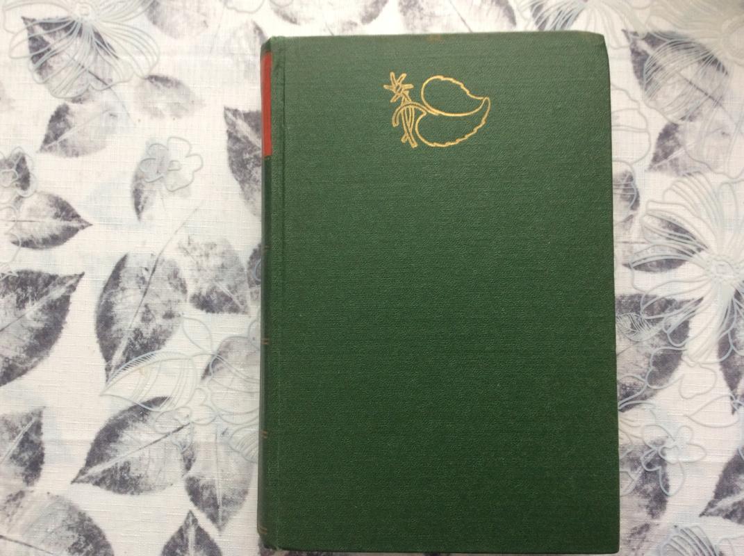 Sodybų tuštėjimo metas - Jonas Avyžius, knyga 2