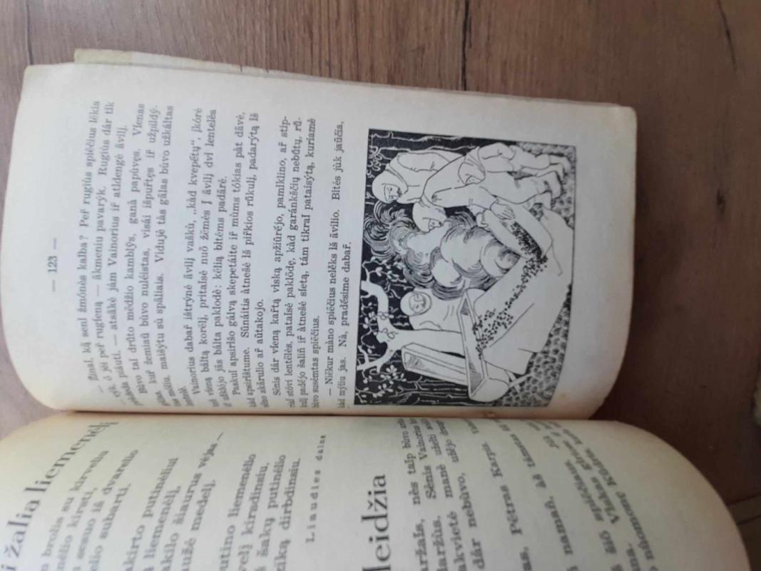 Aušrelė. Vadovėlis ketvirtajam pradinės mokyklos skyriui - Steponas Zobarskas, knyga 5