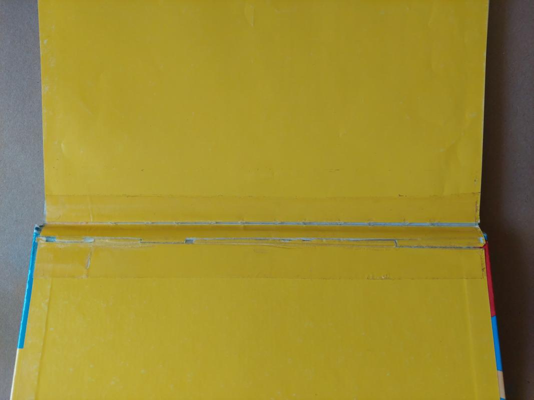 Žiniukų mokykla - Emilie Beaumont, knyga 3