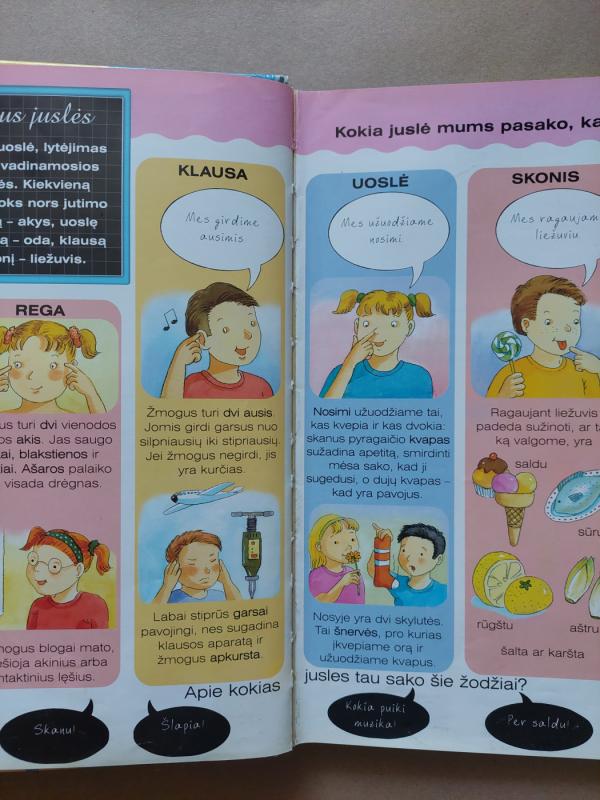 Žiniukų mokykla - Emilie Beaumont, knyga 4