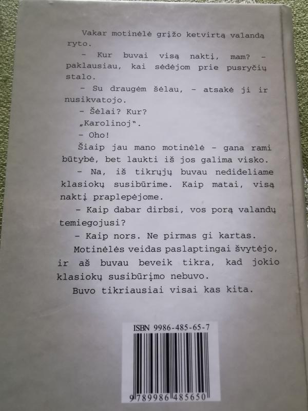 Nebaigtas dienoraštis - Vytautas Račickas, knyga 4