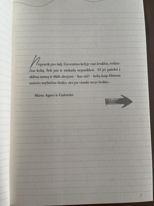 Dievas su šlepetėmis - Juozas Gaižauskas, knyga 4