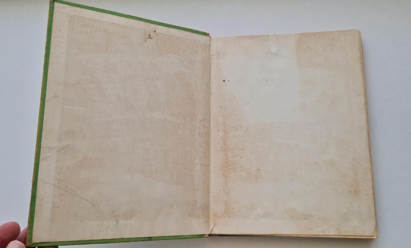 Smaragdo miesto burtininkas - Aleksandras Volkovas, knyga 6