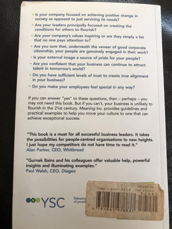 Meaning Inc: The blueprint for business success in the 21st century - Gurnek Bains, knyga 3