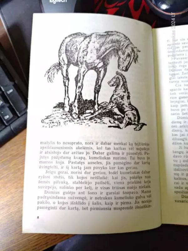 Kaubojaus žirgas - Vilis Džeimsas, knyga 2