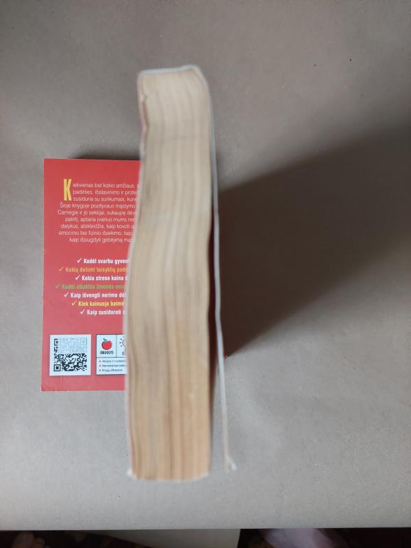 Guzas: kieto priplaukusio bičo gyvenimas - Jeremy Strong, knyga 4