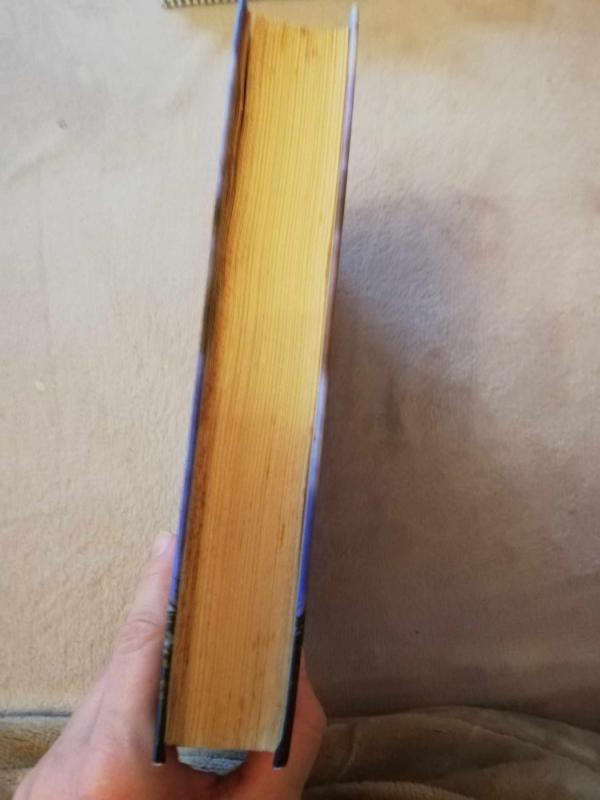 Grimpou. Nematomasis kelias - Rafael Abalos, knyga 4